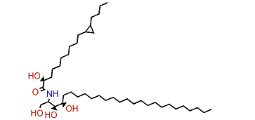 Gracilamide B